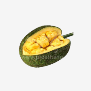 Chlebovník| Mieng Mít 1kg